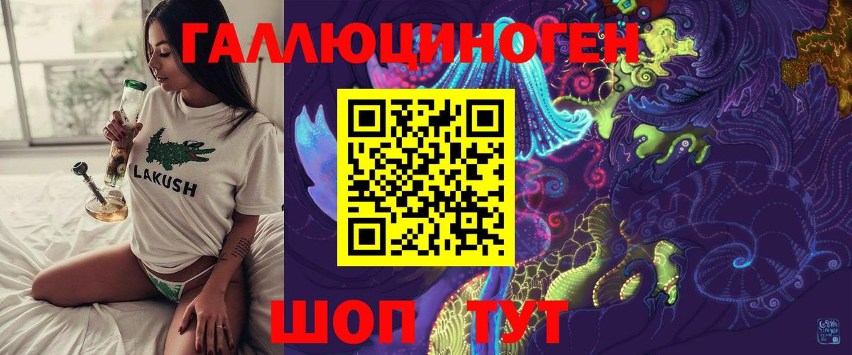 Каменка  Галлюциногенные грибы GOLDEN TEACHER  Вход с VPN 